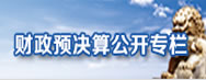 財(cái)政預(yù)決算