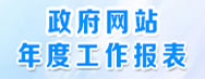 政府網(wǎng)站年度工作報(bào)表