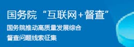 國(guó)務(wù)院 互聯(lián)網(wǎng)+督查